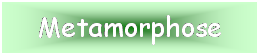 Textfeld: Metamorphose